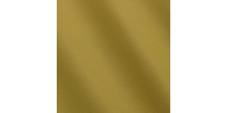 Express Fashion Linea New Celery 684