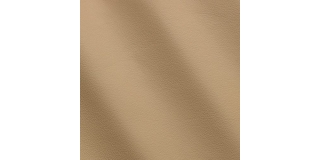 Express Fashion Linea Pelle 664
