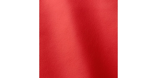 Express Fashion Linea Rosso 614
