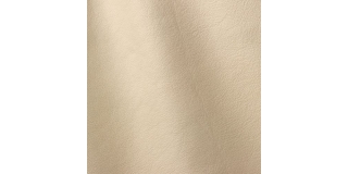 Express Fashion Linea Vaniglia 602