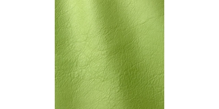 Express Fashion Linea Verde 621