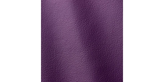 Express Fashion Linea Viola 633