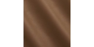 Express Fashion Lush Lion MS640077