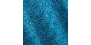 DOILY