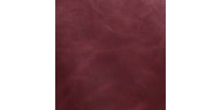 PERSEUS