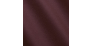 Express Aviation Mercury Burgundy C620032