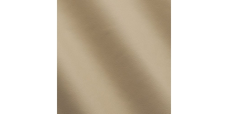 Express Aviation Mercury Cappuccino C530091
