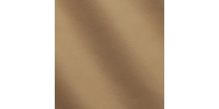 Express Aviation Mercury Caramel C530095