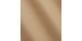 Express Aviation Mercury Champagne C530094