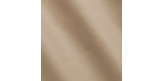 Express Aviation Mercury Oyster C530089