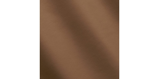 Express Aviation Mercury Redwood C740102