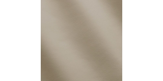 Express Aviation Mercury Stone C530096