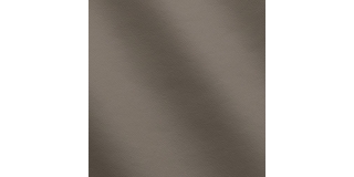 Express Aviation Mercury Taupe C800111