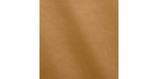 Express Fashion Nappa Champagne MS150094