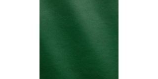 Express Fashion Nappa Green Ray MS410040
