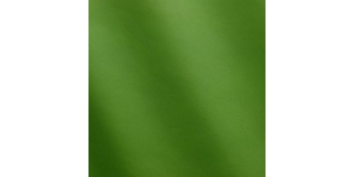 Express Fashion Nappa Lime MS440015