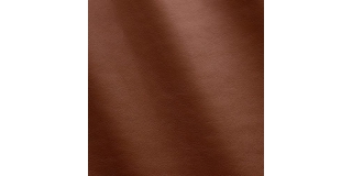 Express Fashion Nappa Lion MS640077