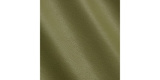 Express Fashion New York Aloe I681035