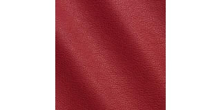 Express Fashion New York Amaranto I622040
