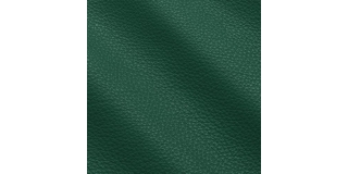 Express Fashion New York Avocado I681559