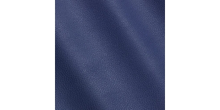 Express Fashion New York Bluebird I7801016
