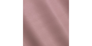 Express Fashion New York Cameo I65241