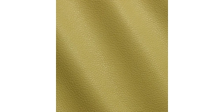 Express Fashion New York Celery I681034