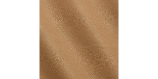 Express Fashion New York Champagne I532098