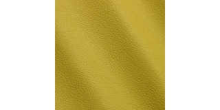 Express Fashion New York Citron I56813