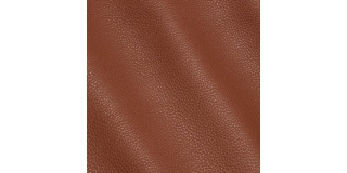 Express Fashion New York Cuoio I742384