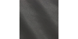 Express Fashion New York Gull I801454