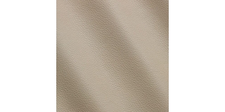Express Fashion New York Lamb I532378