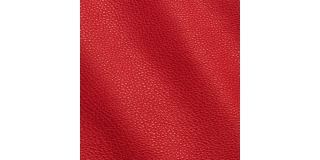 Express Fashion New York Lollipop I621474