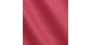 Express Fashion New York Orchidea I65222