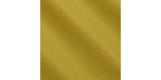Express Fashion New York Pollen I561168