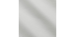 Express Fashion New York Purity I50609