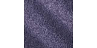 Express Fashion New York Purple I71920