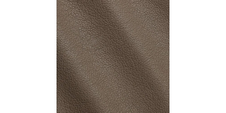 Express Fashion New York Taupe I744098