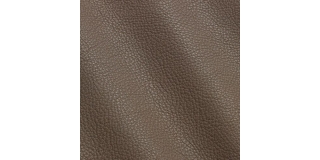 Express Fashion New York Zinco I802555