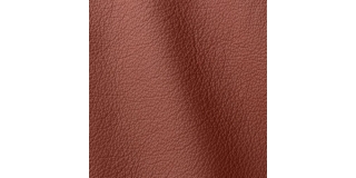 Express Fashion Ocean Alium 435