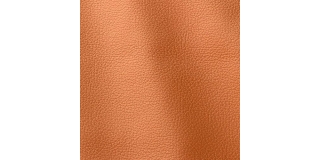 Express Fashion Ocean Arancio 412