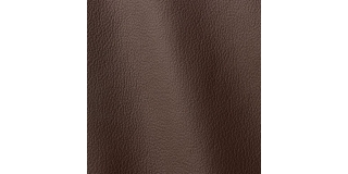 Express Fashion Ocean Bear 437