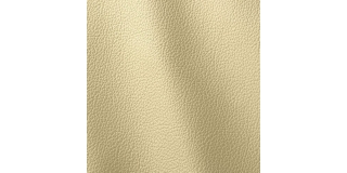 Express Fashion Ocean Beige 402