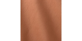 Express Fashion Ocean Biscuit 434