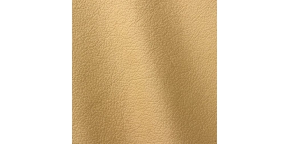 Express Fashion Ocean Desert 431
