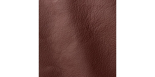 Express Fashion Ocean Donkey 436