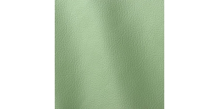 Express Fashion Ocean Emerald 445