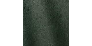 Express Fashion Ocean Green 425