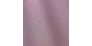 Express Fashion Ocean Pansy 449
