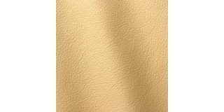 Express Fashion Ocean Vanilla 428